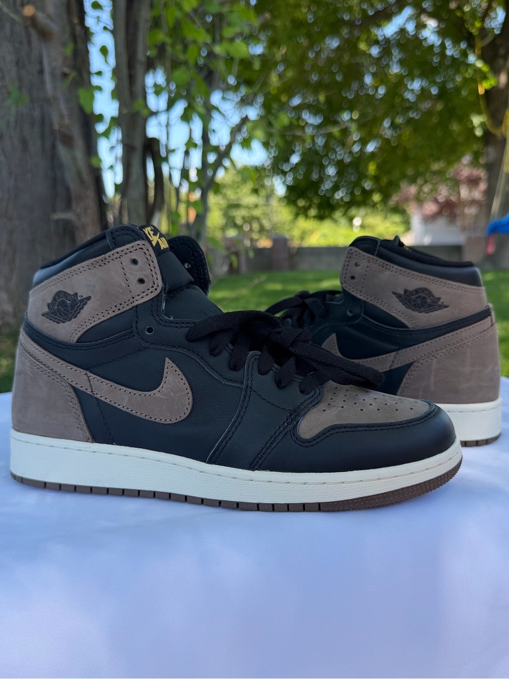 Air Jordan 1 Retro High OG "Palomino"